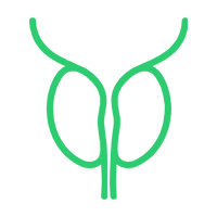 mpMRT Prostata PI-RADS